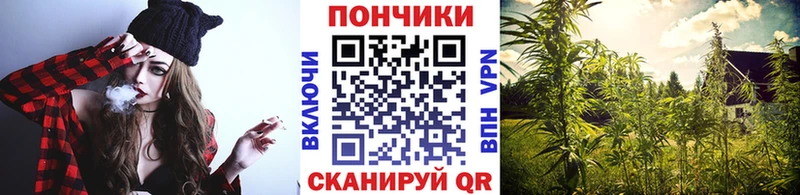 Бошки Шишки марихуана  где купить наркотик  Анива 